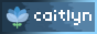 caitlyn's badge