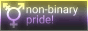 non-binary pride badge